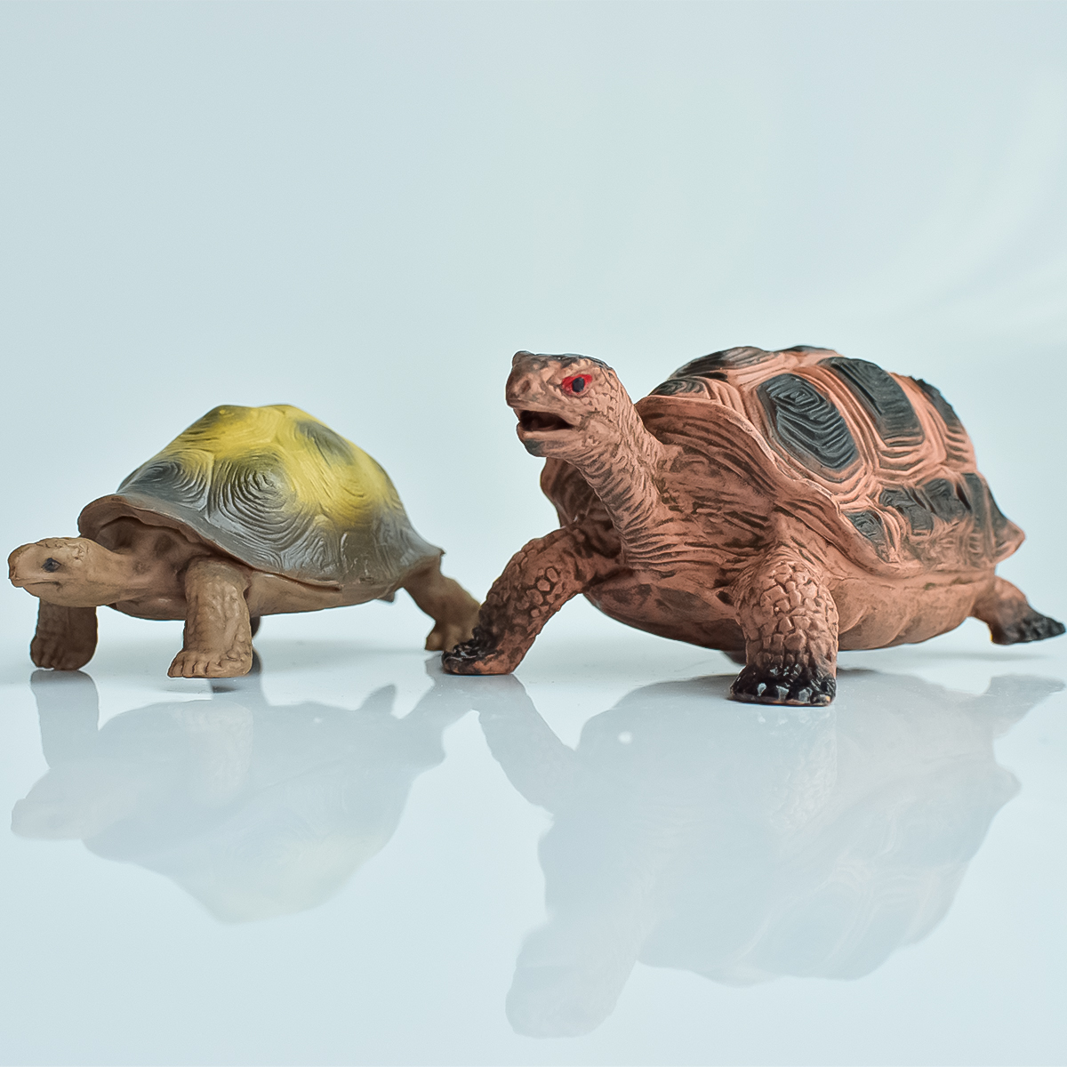 Desk Setup Plants - Painted Realistic Animal Turtle | Aquatic