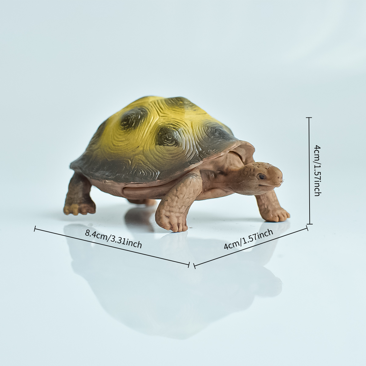 Painted Realistic Animal Turtl - Desk Setup Plants のレビューと価格