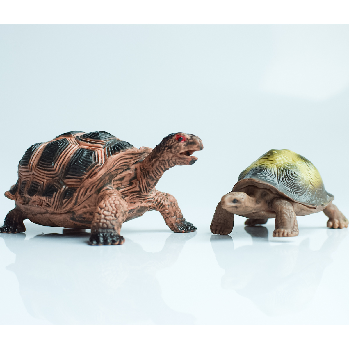 Painted Realistic Animal Turtl - Desk Setup Plants のレビューと価格