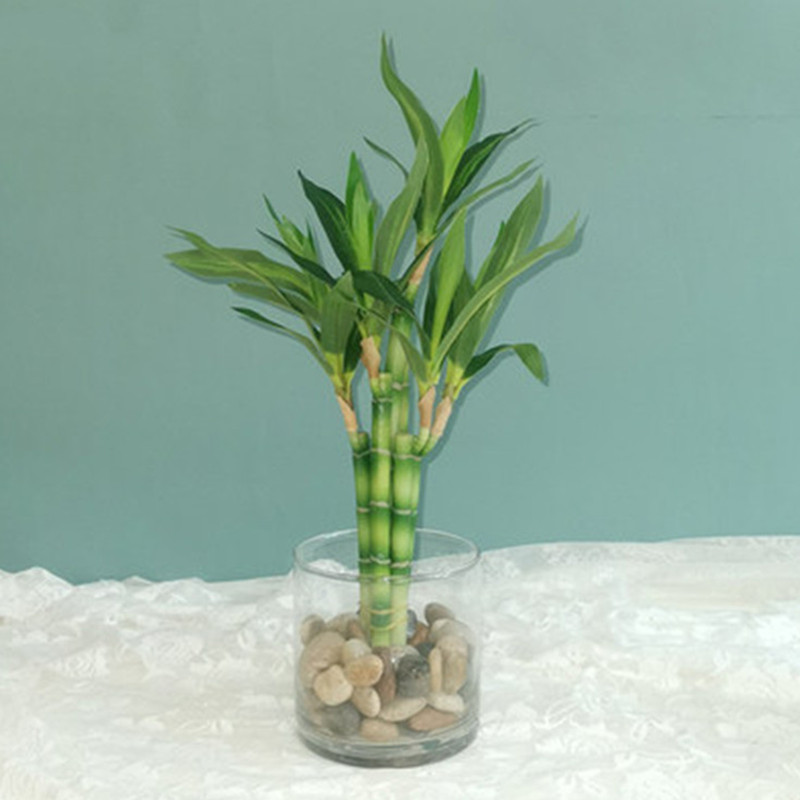 New 40cm rFtificial Lucky Bamb - Desk Setup Plants のレビューと価格