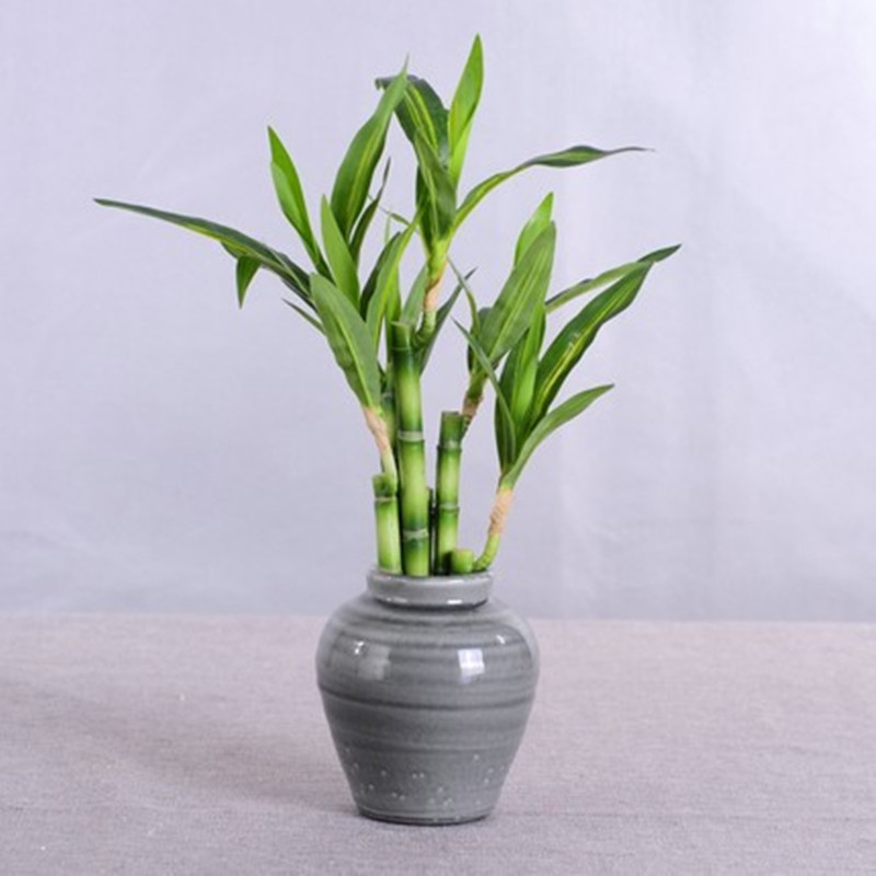 New 40cm rFtificial Lucky Bamb - Desk Setup Plants のレビューと価格