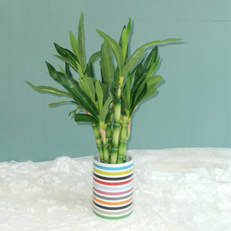 New 40cm rFtificial Lucky Bamb - Desk Setup Plants のレビューと価格
